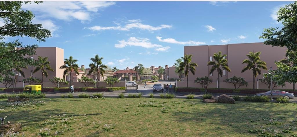 Real estate & insurance Advisor