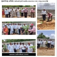 શ્રી ડુંગરી ગરાસિયા વિકાસ ટ્રસ્ટ